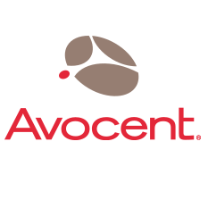 Avocent