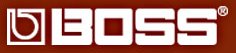 Boss Corporation