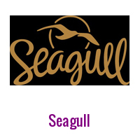 Seagull